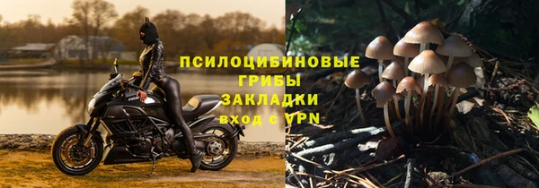 прущая мука Горняк